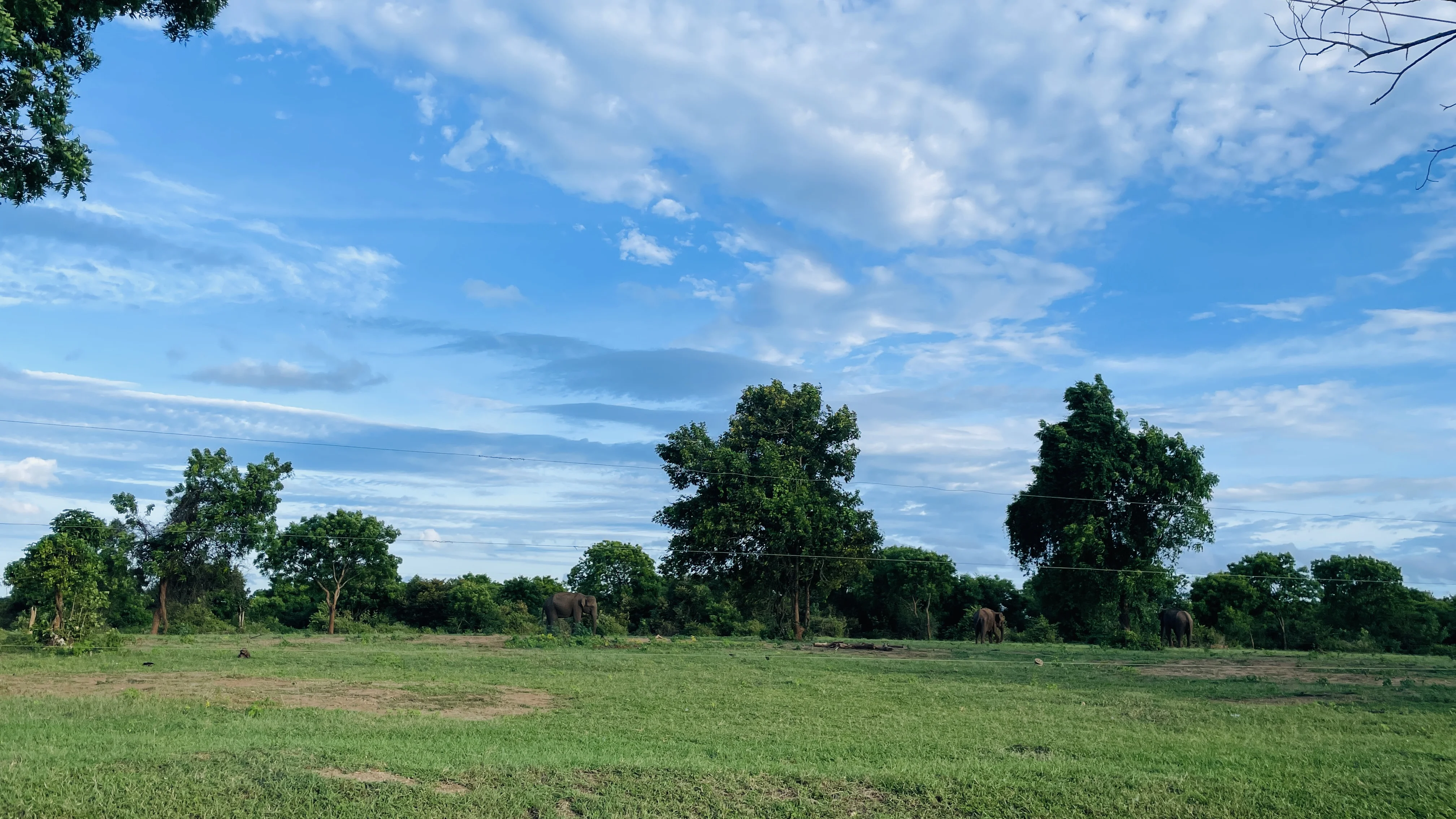 Udawalawe National Park