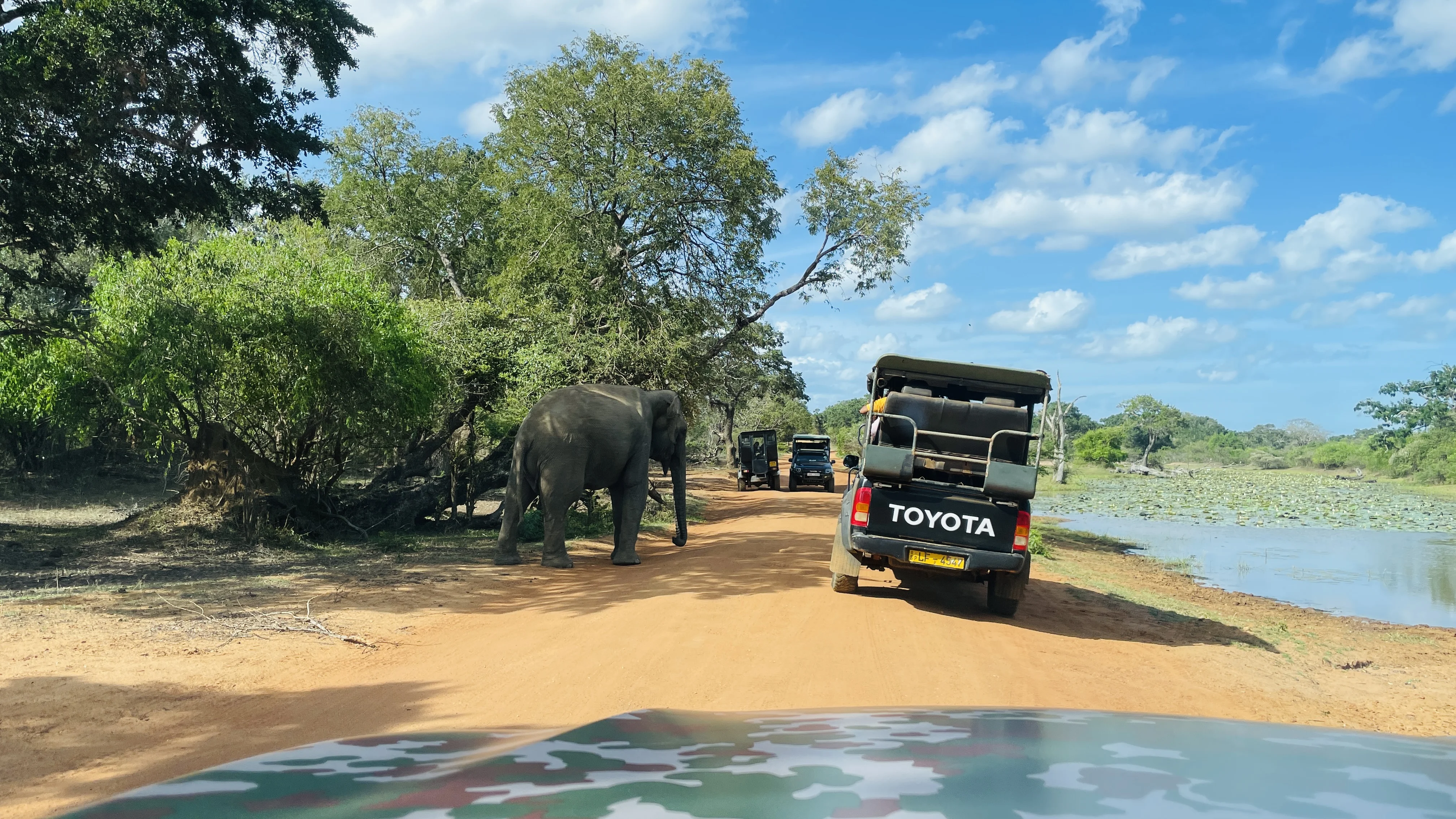 Udawalawe National Park