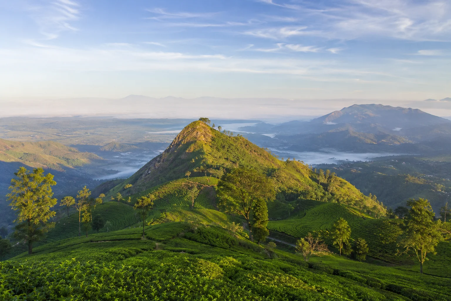 Tea-covered hills and panoramic views from Haputale