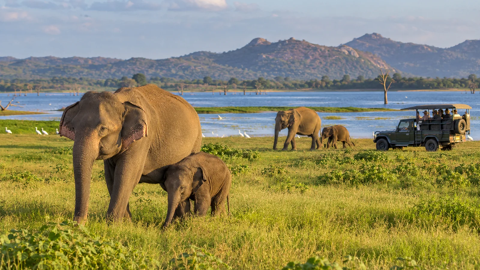 Lunugamvehera National Park — Sri Lanka destination